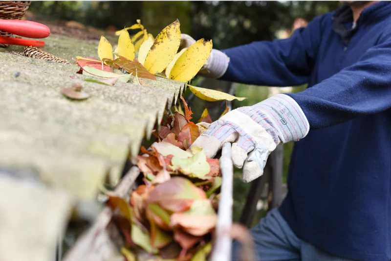 How to clean leaves from Gutters