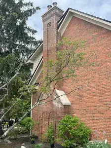 bainbridge chimney