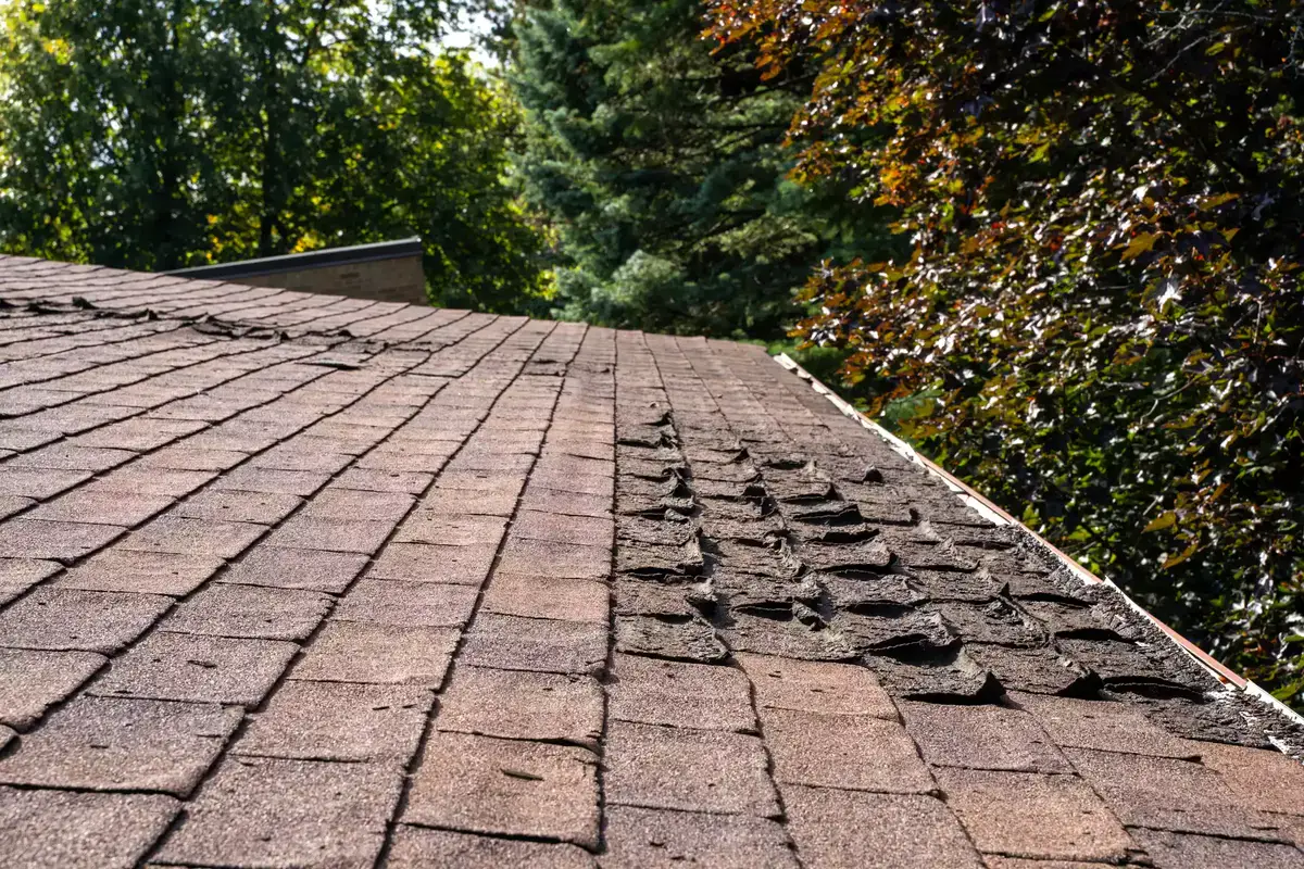 5 Signs Your Roof Needs Immediate Attention
