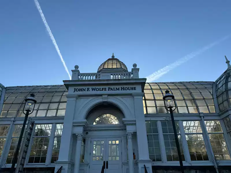 palm-house
